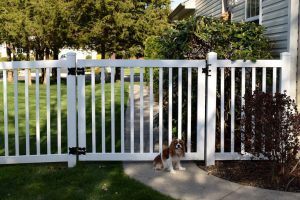 white-dog-fence