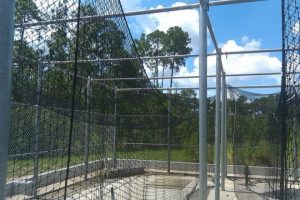 Batting-Cage-Fence